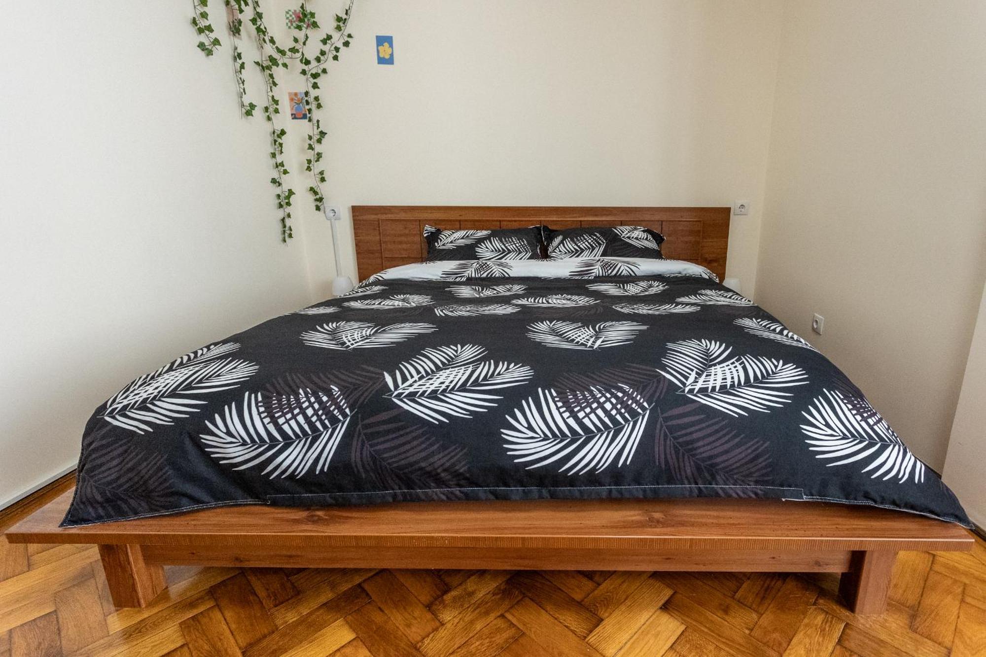 Supreme Deer Apartment Brasov Exterior photo